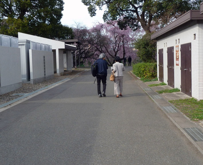 2014年3月の例会後のお花見散歩2